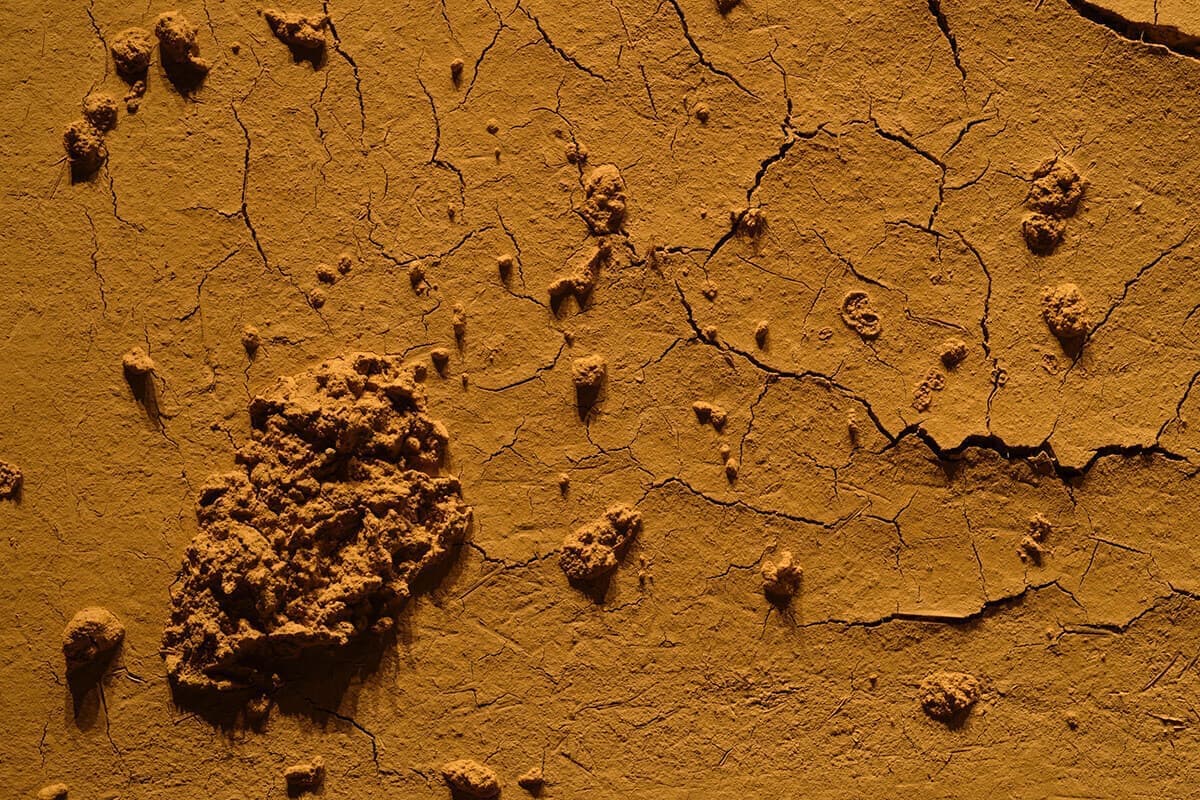 THE KNOT SAPPORO｜野田左官店