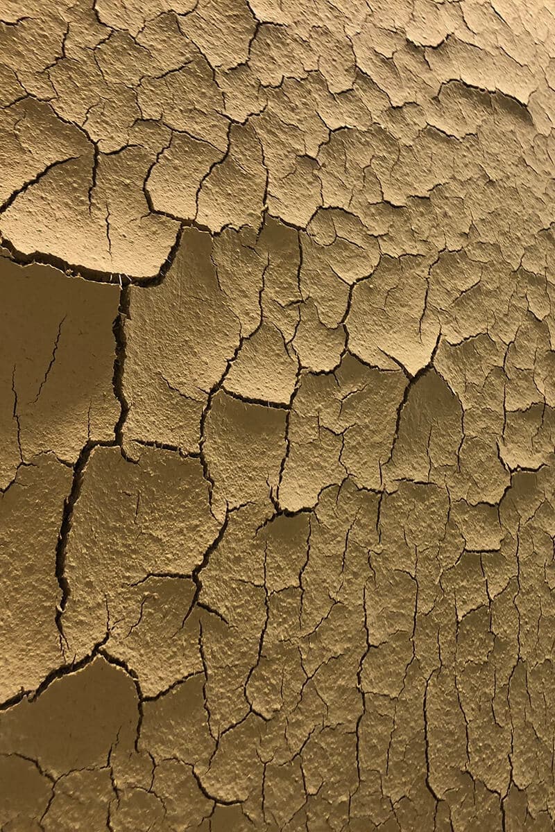 株式会社SHOKUSAN本社ビル