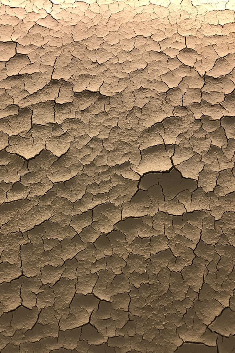 株式会社SHOKUSAN本社ビル