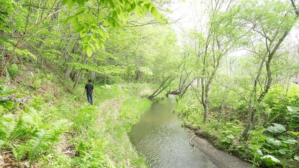 【野田左官店】北海道浦河町｜野田肇介